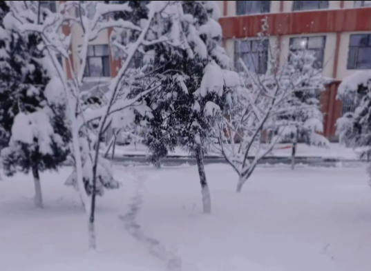  博達(dá)初雪 | 我們見(jiàn)一面吧